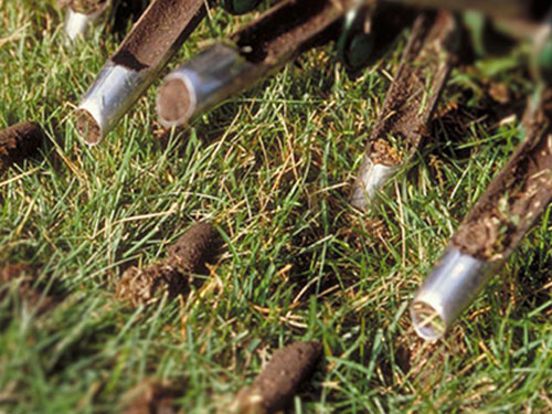 core aeration service