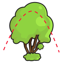 Incorrect Contour Shaping